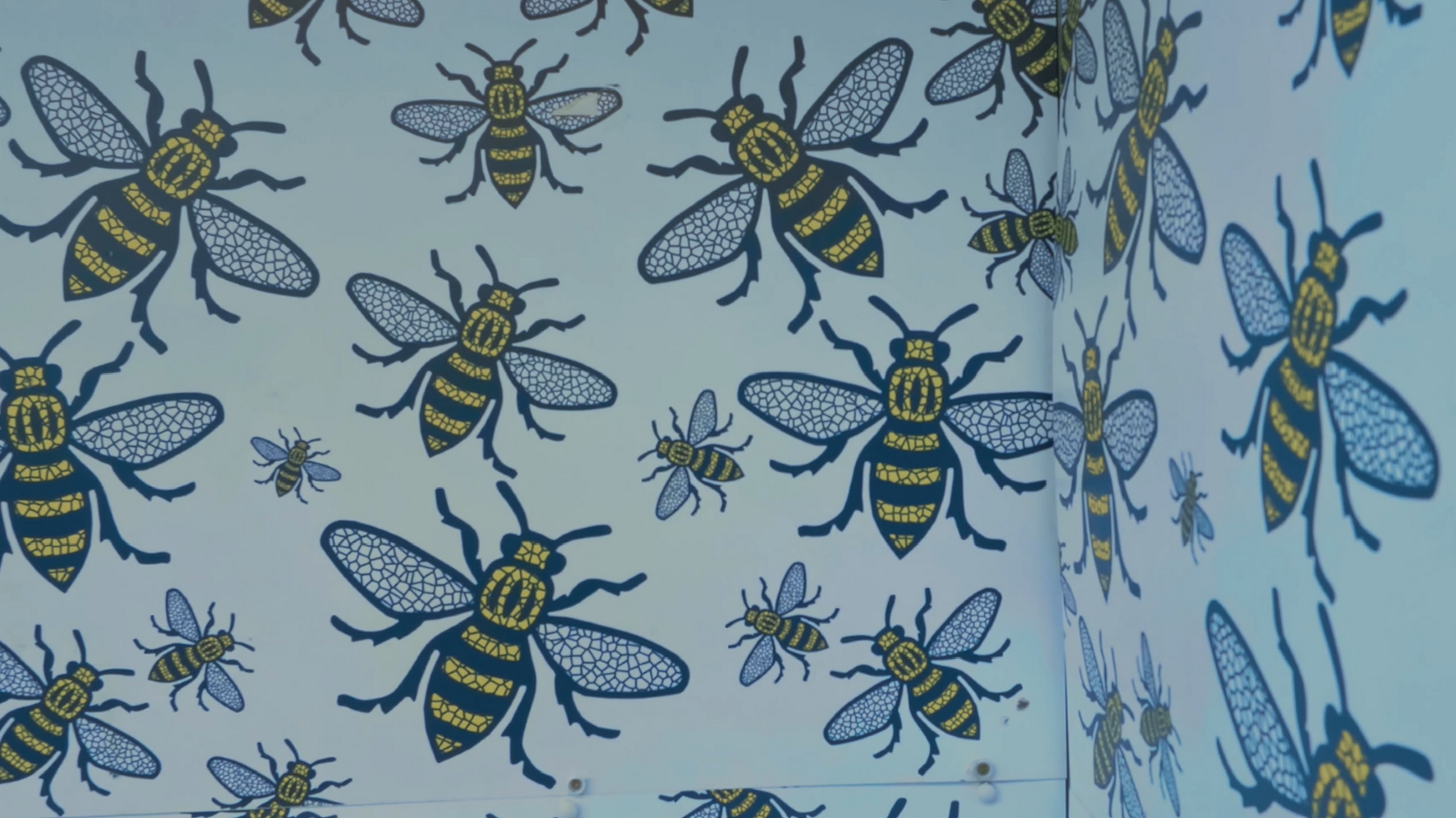 Manchester bees