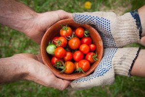 What are the Key Benefits of Gardening for Your Body