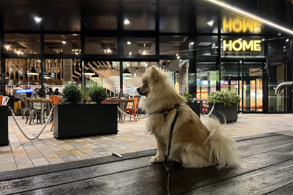 Woof Guide to Innside by Melia Manchester Home