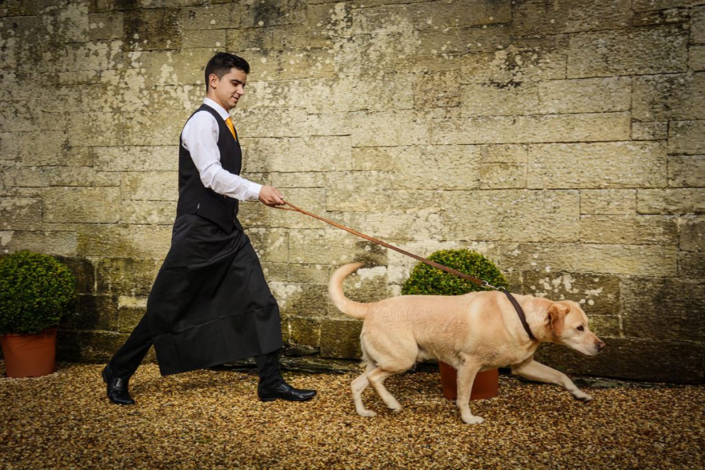 Palé Hall: Grandeur, Hares and Haute Cuisine in North Wales