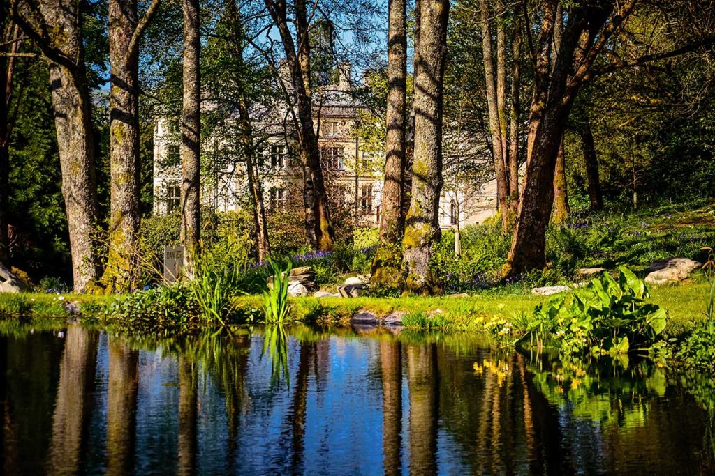 Palé Hall: Grandeur, Hares and Haute Cuisine in North Wales