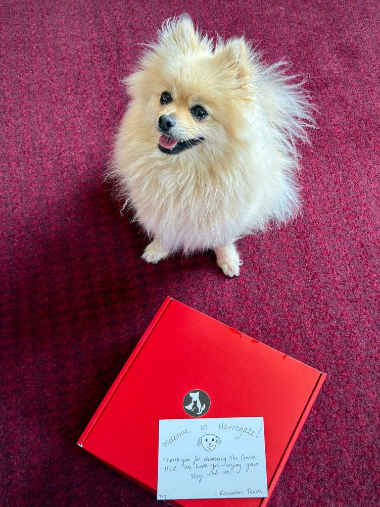 The Woof Guide to Harrogate – Peppa solves the mystery of what to do with dogs in this pretty Yorkshire spa town