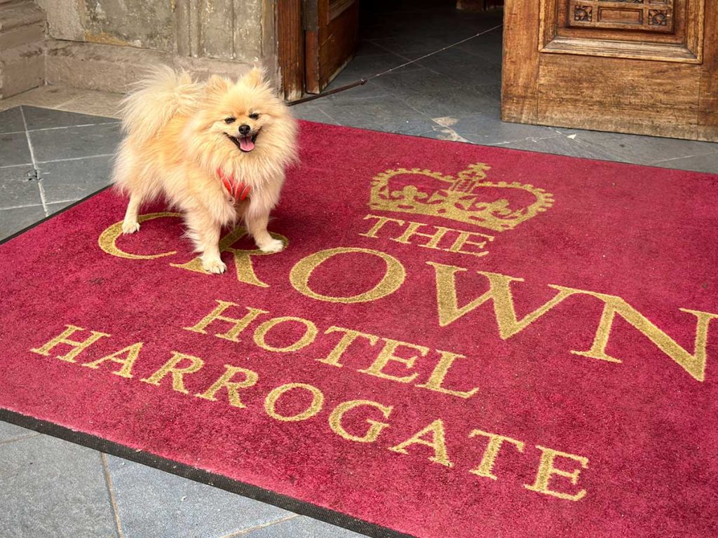 The Woof Guide to Harrogate – Peppa solves the mystery of what to do with dogs in this pretty Yorkshire spa town