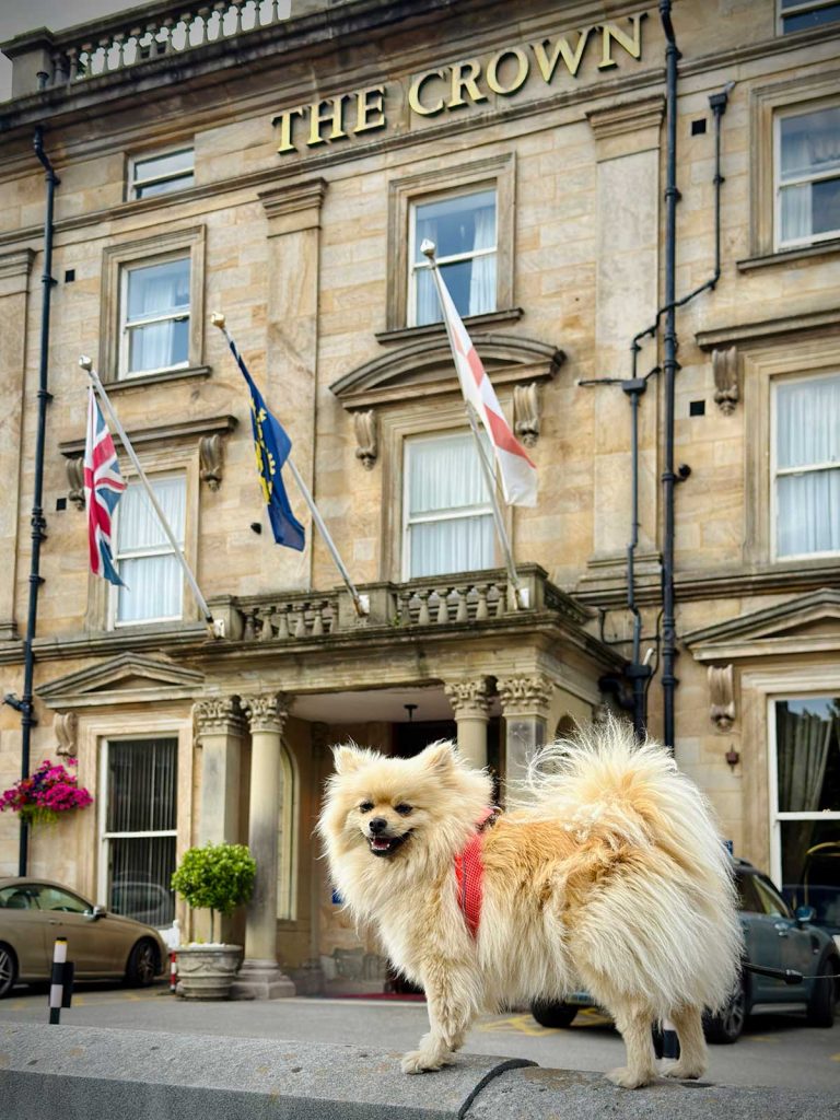 The Woof Guide to Harrogate – Peppa solves the mystery of what to do with dogs in this pretty Yorkshire spa town