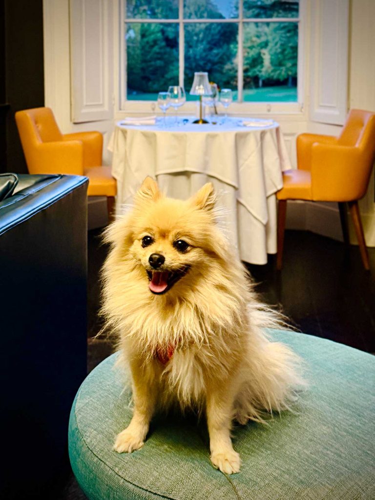 The Woof Guide to Saltmarshe Hall - Everything is perfect for Peppa and her pals at this country pile