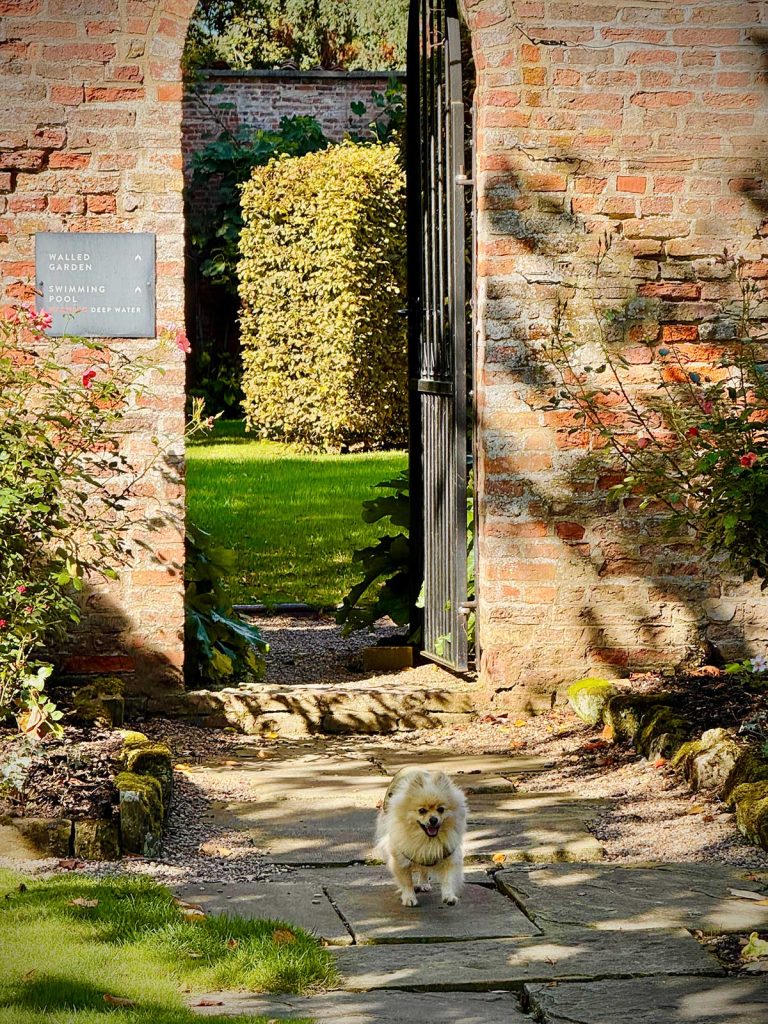 The Woof Guide to Saltmarshe Hall - Everything is perfect for Peppa and her pals at this country pile