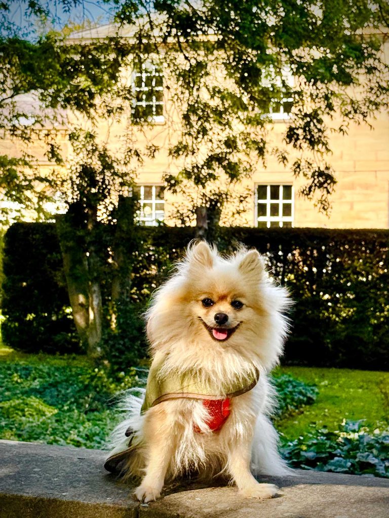 The Woof Guide to Saltmarshe Hall - Everything is perfect for Peppa and her pals at this country pile