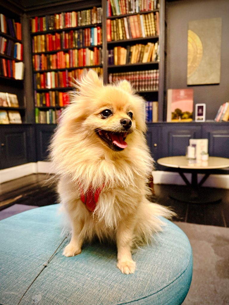 The Woof Guide to Saltmarshe Hall - Everything is perfect for Peppa and her pals at this country pile