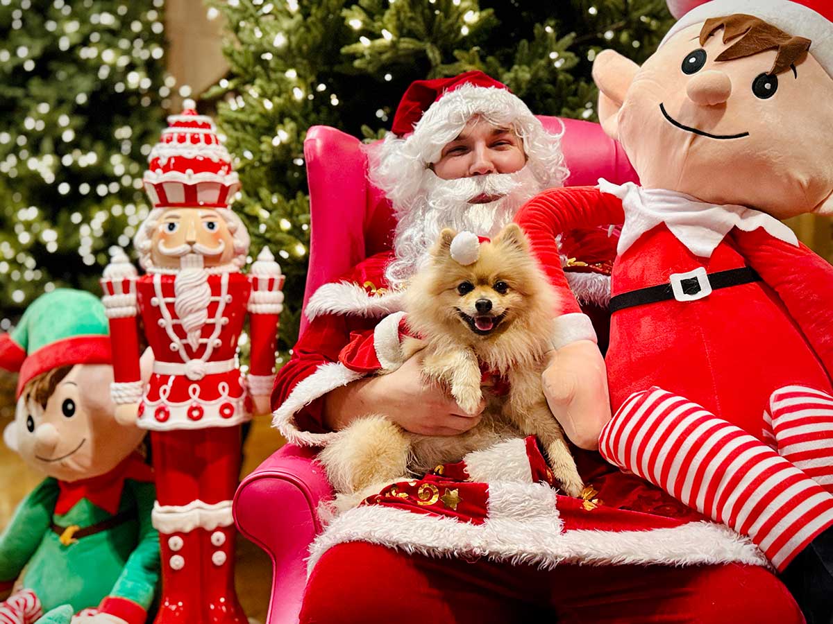 Peppa gets up close and personal with Santa in the Peak District