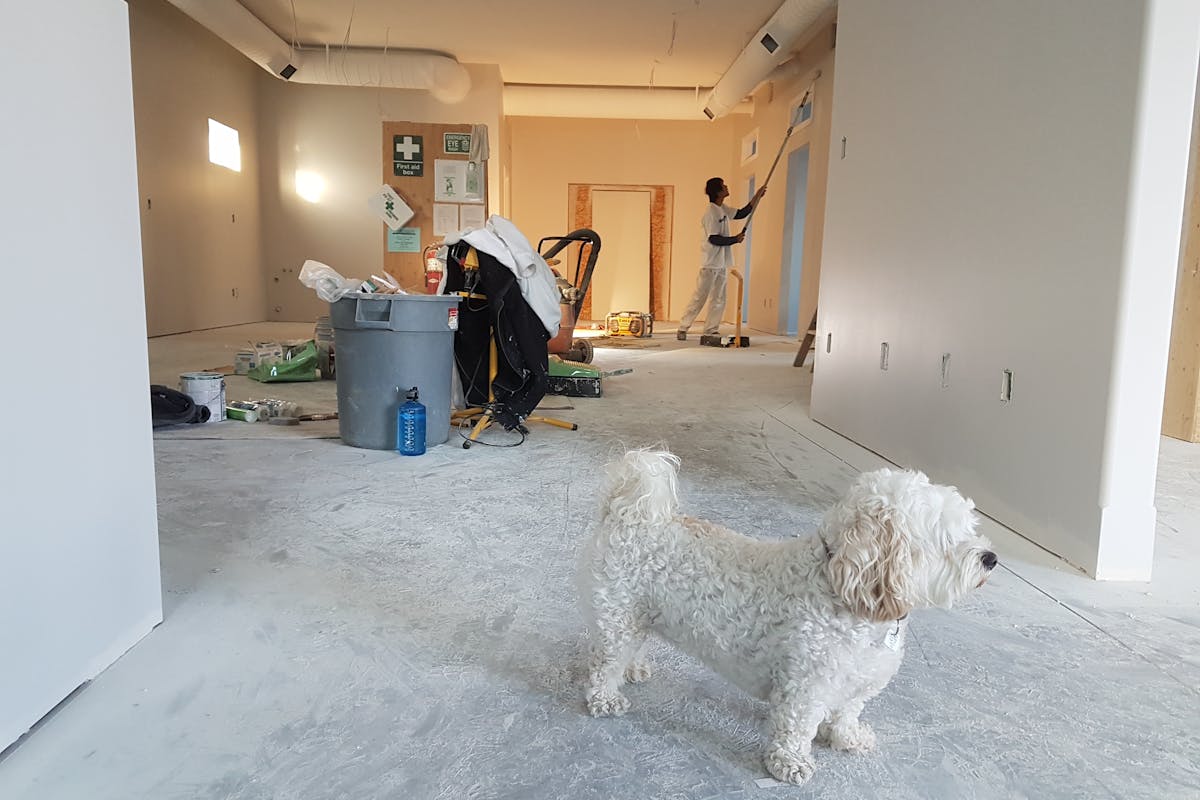 The Best Way To Approach A Home Renovation