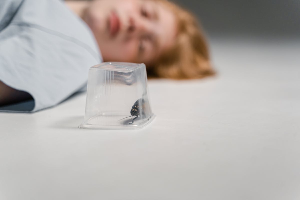 Why You Shouldn't Wait Too Long To Act On Any Pest Problem