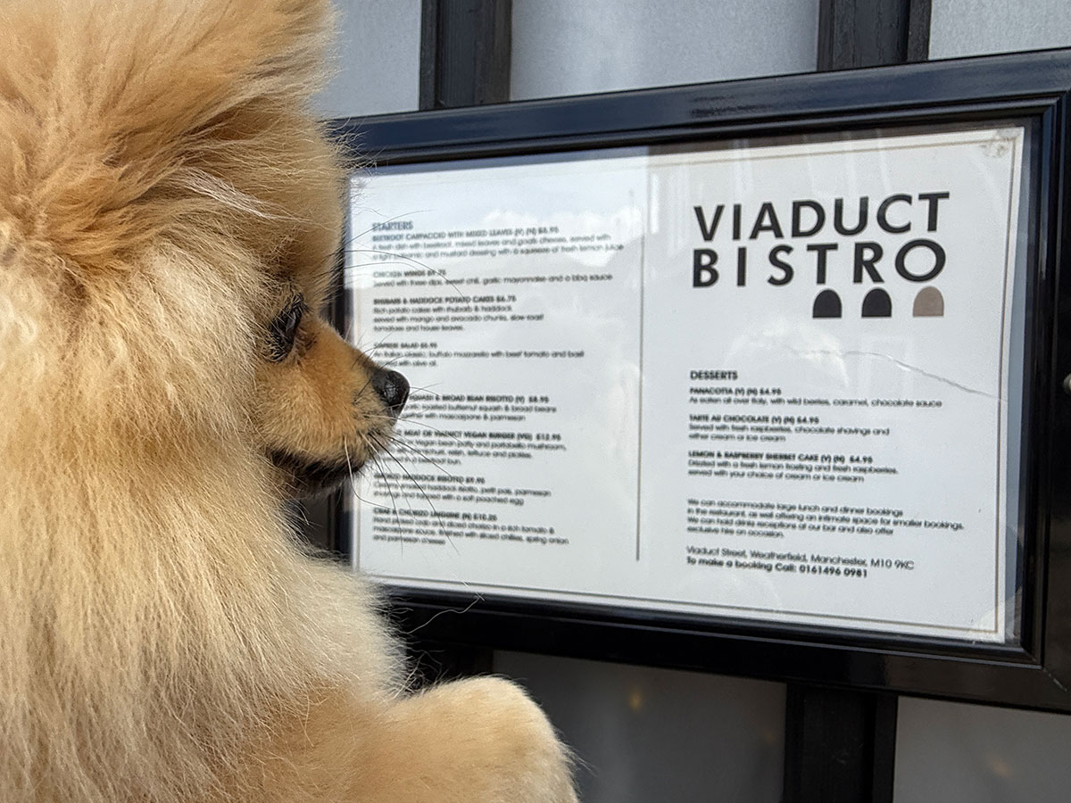 The woof guide to Weatherfield: In which Peppa the Pomeranian joins some furry friends on a trip to Coronation Street