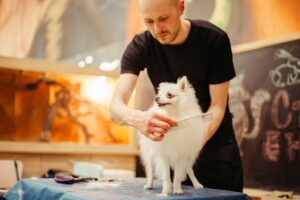 Essential Canine Health and Care: Practical Advice for Keeping Your Dog Happy, Active, and Secure