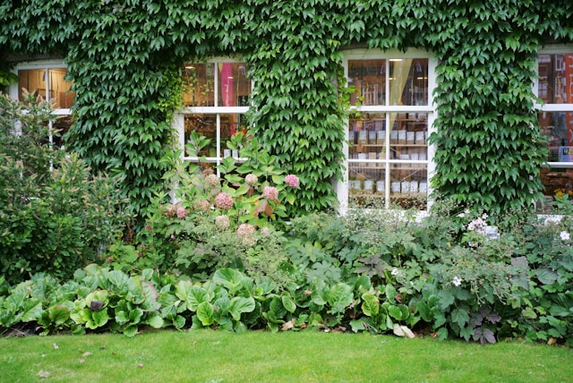 The Joy of a Well-Maintained Garden