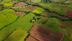 Understanding Land Management for Smallholdings