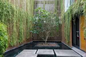 Transforming Your Garden into a Wellness Retreat