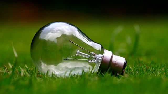 Eco-Conscious Choices for Every Business