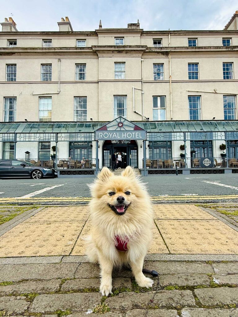 The Woof Guide to Whitby – Peppa the pom gets her teeth into the delights of Count Dracula’s fave resort