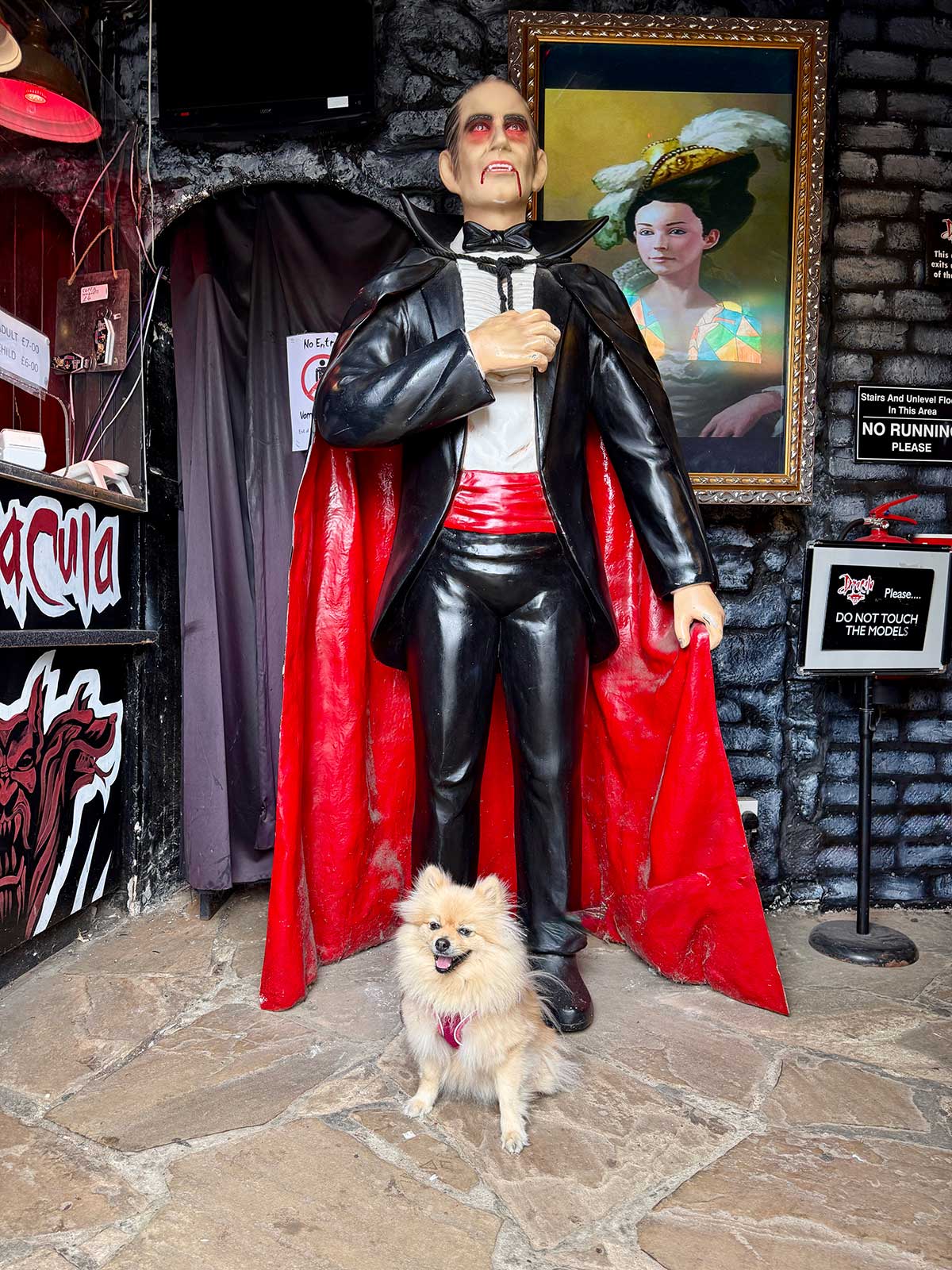 The Woof Guide to Whitby – Peppa the pom gets her teeth into the delights of Count Dracula’s fave resort