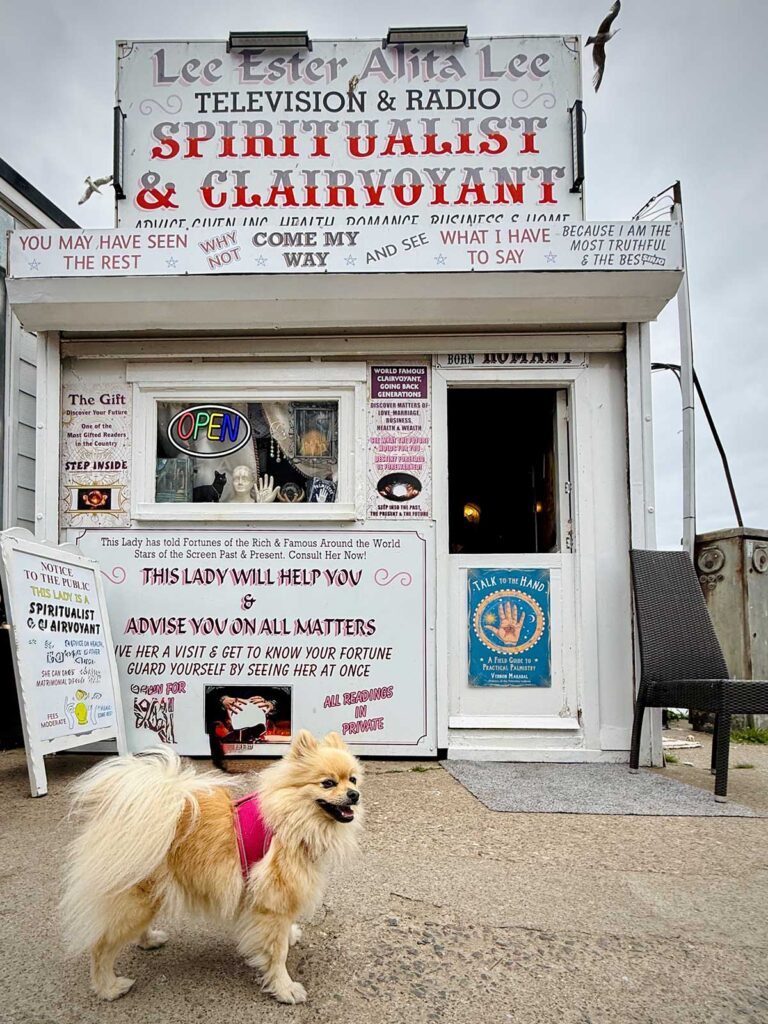 The Woof Guide to Whitby – Peppa the pom gets her teeth into the delights of Count Dracula’s fave resort