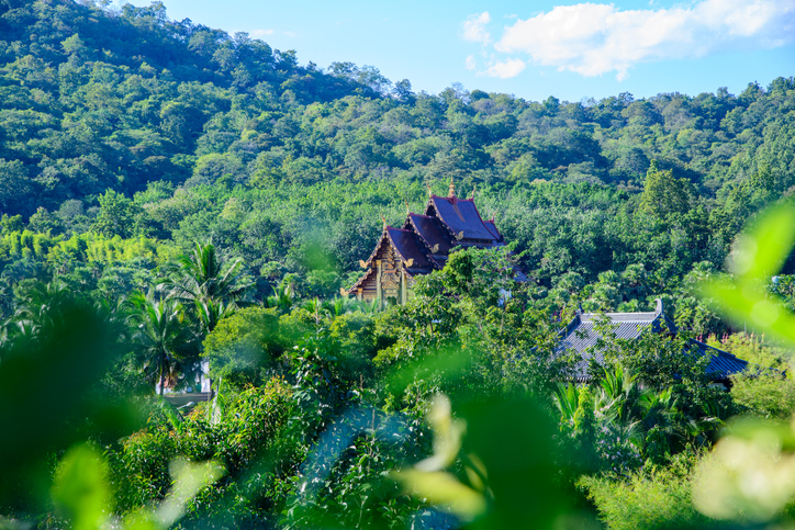 How Cultural Immersion is Redefining Luxury Slow Travel in Chiang Mai